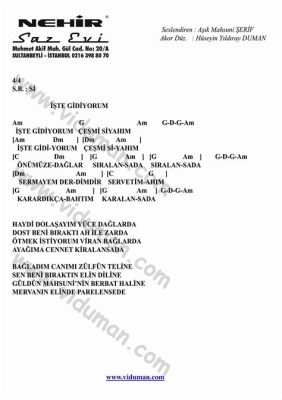  Carousel Eşsiz Gitar Melodiyle Buluşuyor: İşte Rüyaların ve Melankolinin Bir Araya Gelişi